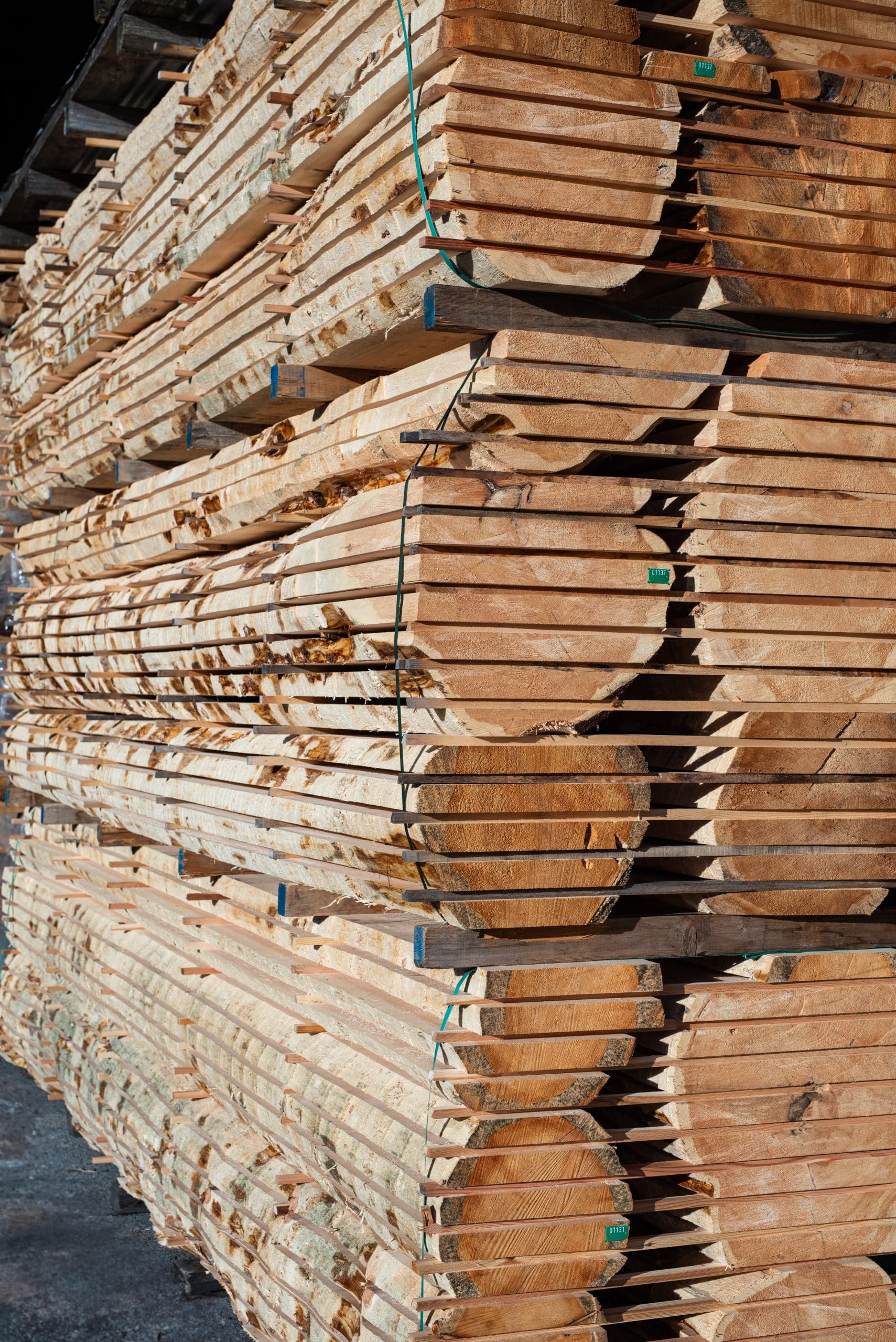 Rundholz Transport Forstwirtschaft Holzindustrie